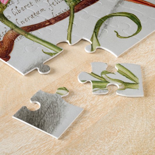 Kalligraphie (Dragonfly, Nelke & Birne) Puzzle (Seite)