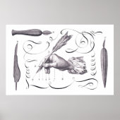 Kalligraphie, Schreiben - Handliches 18. Jahrhunde Poster (Vorne)