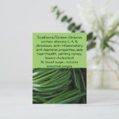 Kallionen/grüne Zwiebeln Postkarte (Stehend Vorderseite)