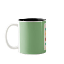 Kalliopsis Bulbs und Samen