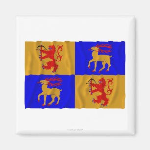 Kalmar län wellenartig bewegende Flagge Magnet