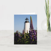 Kalmare (Vorderseite)