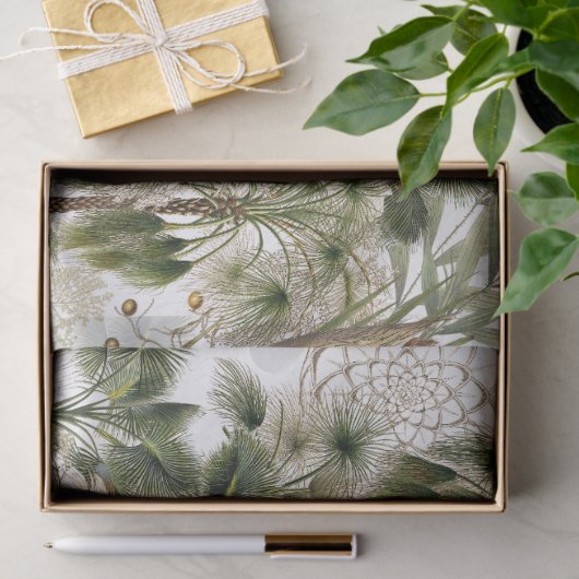 Kalmus-Palme-Wedel-Blätter-Frucht-Seidenpapier Seidenpapier (Geschenk)