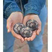 Kaloala mit niedlichem Hut, gepolomisierbar Button