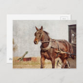 Kalona, amisches Pferd Iowas und Buggy Postkarte (Vorne/Hinten)