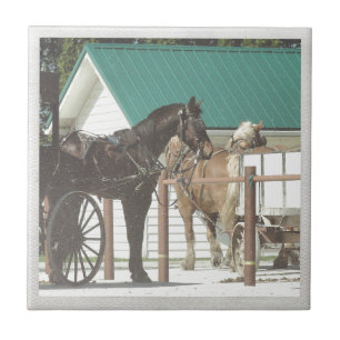 Kalona Amish Pferde Fliese