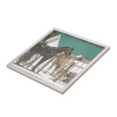 Kalona Amish Pferde Fliese (Seite)