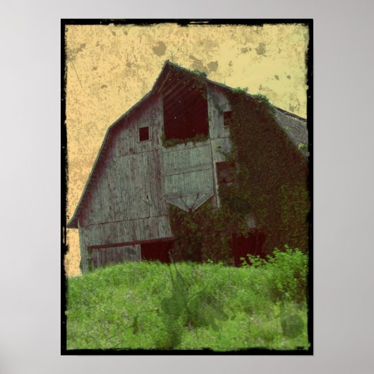 Kalona Barn und Ivy Poster (Vorne)