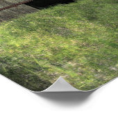 Kalona Barn und Ivy Poster (Ecke)