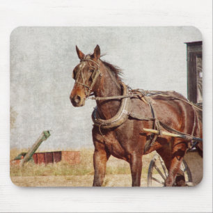 Kalona, Iowa Amish Pferd und Buggy Mousepad