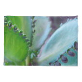 Kalonchoe Colors Kissenbezug (Rückseite-Links)