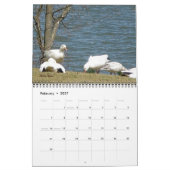 Kalorienvögel Kalender (Feb 2027)