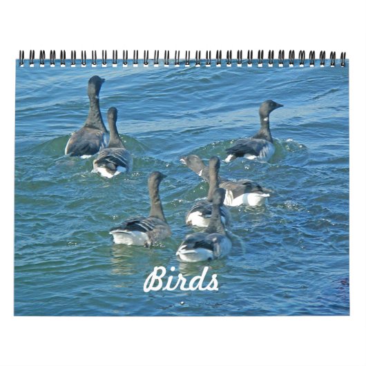 Kalorienvögel Kalender (Titelbild)