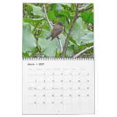 Kalorienvögel Kalender (Mär 2027)