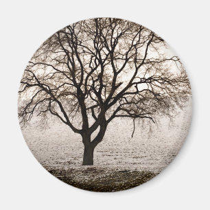 kalt und schön magnet