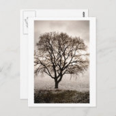 kalt und schön postkarte (Vorne/Hinten)