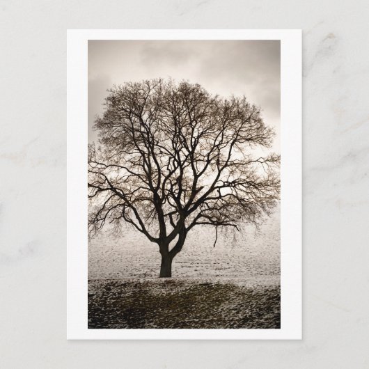 kalt und schön postkarte (Vorderseite)