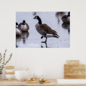 Kalte Füße Poster (Küche)