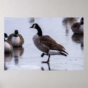 Kalte Füße Poster