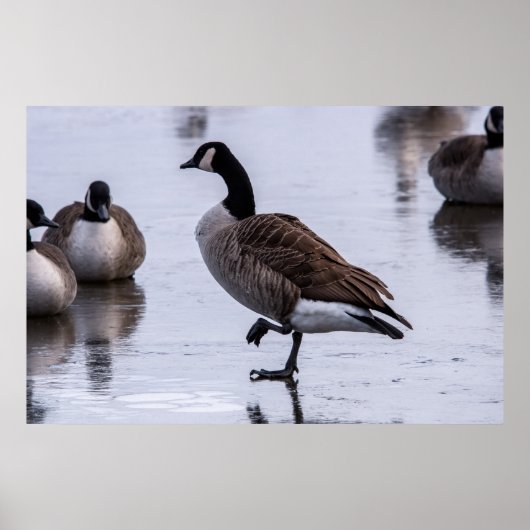 Kalte Füße Poster (Vorne)