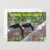 Kälte in Costa Rica Postkarte (Vorne/Hinten)