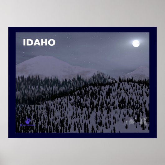 Kalte Nacht in Idaho Poster (Vorne)