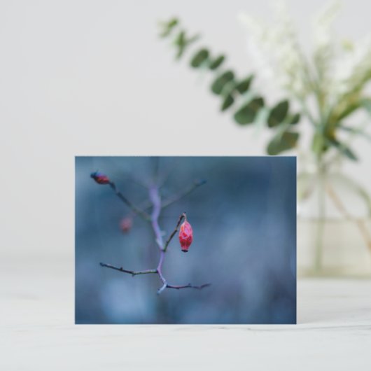 Kalte Rose Postkarte (Stehend Vorderseite)