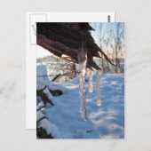 kalte Winterräder nach dem ersten Schneesturm Postkarte (Vorne/Hinten)