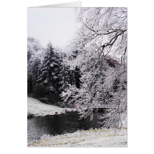 Kalter frostiger Morgen (Vorne)