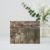 Kalter Teich mit Schnee Postkarte (Stehend Vorderseite)