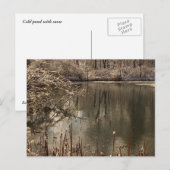 Kalter Teich mit Schnee Postkarte (Vorne/Hinten)