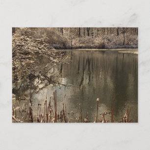 Kalter Teich mit Schnee Postkarte