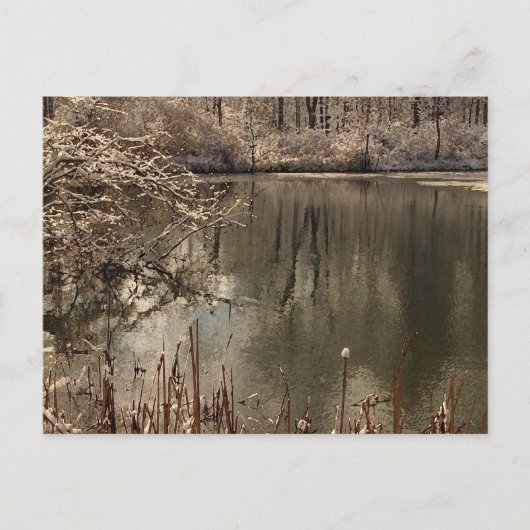 Kalter Teich mit Schnee Postkarte (Vorderseite)