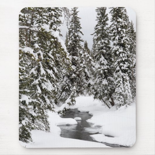Kaltes Fluss-Fließen Yellowstone Mousepad (Vorne)