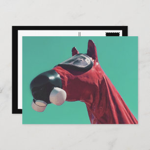 kaltes Pferd Postkarte