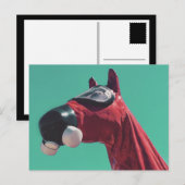 kaltes Pferd Postkarte (Vorne/Hinten)