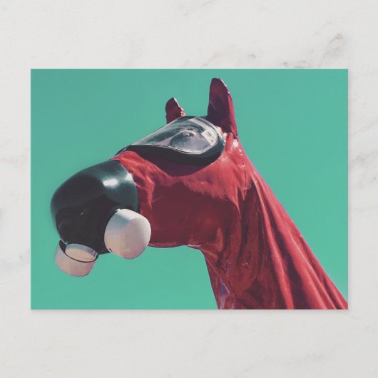 kaltes Pferd Postkarte (Vorderseite)