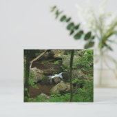 Kaltes Wasser Postkarte (Stehend Vorderseite)