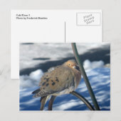 Kältewelle 1 postkarte (Vorne/Hinten)