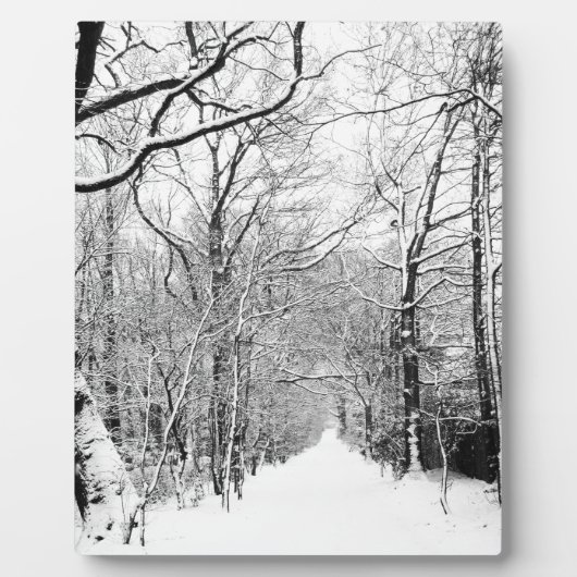 Kaltwald Fotoplatte (Vorderseite)