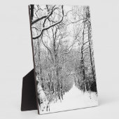 Kaltwald Fotoplatte (Seite)