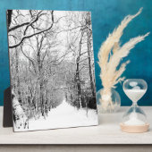 Kaltwald Fotoplatte (Seite)