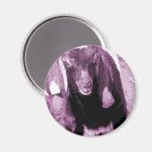 Kalvin 2 magnet (Vorderseite/Rückseite)