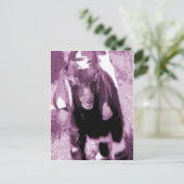 Kalvin Lila Postkarte (Stehend Vorderseite)