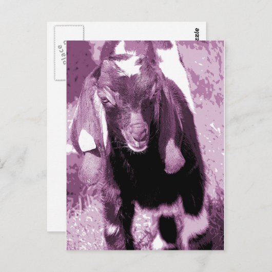 Kalvin Lila Postkarte (Vorne/Hinten)