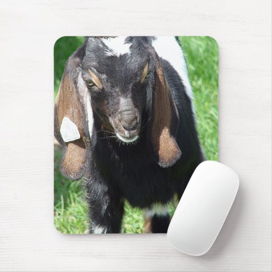 Kalvin Mousepad (Mit Mouse)