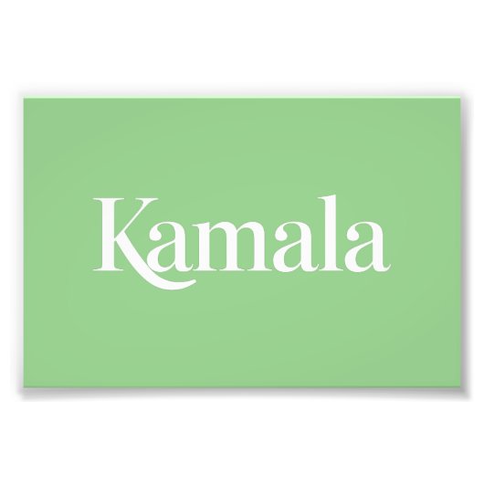 Kamala Brat Kamala Harris für den Präsidenten 2024 Fotodruck (Vorne)