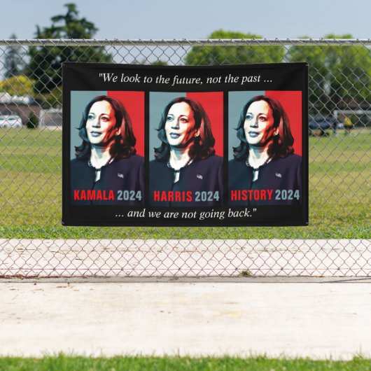 Kamala Harris 2024 Pop Art nicht nach draußen gehe Banner (Insitu)