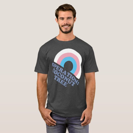 Kamala Harris Coconut Tree Trans Pride Flag T-Shirt (Vorne ganz)