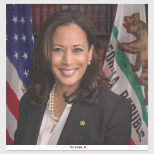 Kamala Harris Kandidat für das Amt des Präsidenten Aufkleber (Blatt)